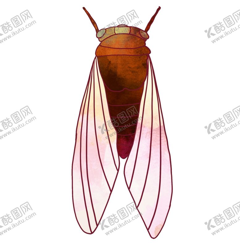 编号：16818905071402038147【酷图网】源文件下载-卡通夏日知了蝉手绘插画