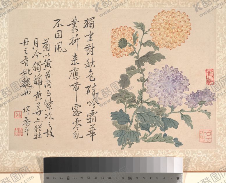 编号：94742106171754075616【酷图网】源文件下载-清代恽寿平花草绘画