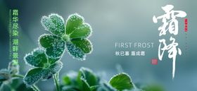霜降节气海报二十四简约横图