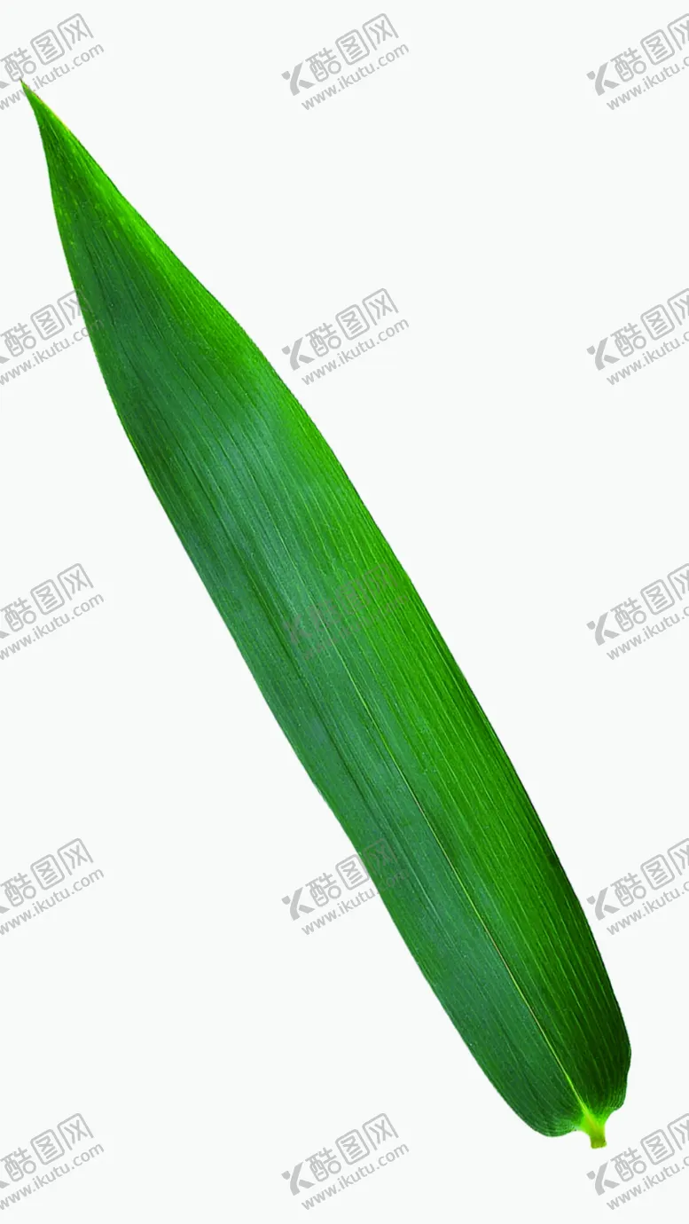 编号：11702306240909195418【酷图网】源文件下载-竹叶
