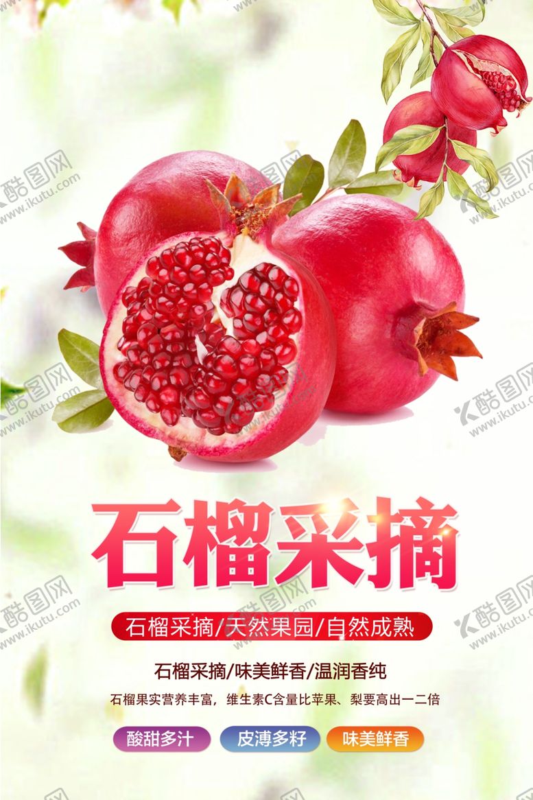 编号：64175411270142553678【酷图网】源文件下载-石榴采摘