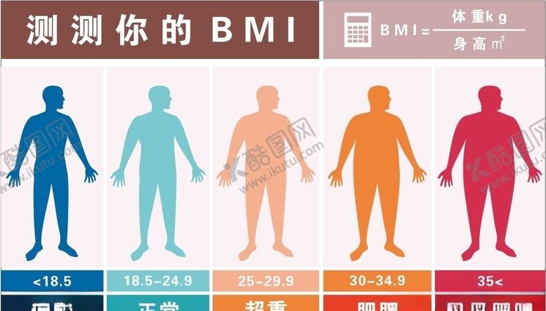 编号：15389510061718435751【酷图网】源文件下载-BMI指标对照表