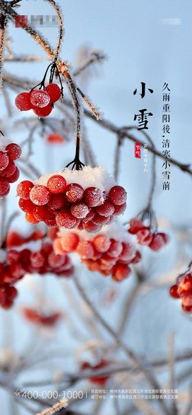 小雪节气