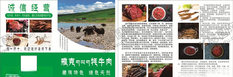编号：37106510231458178703【酷图网】源文件下载-藏族青藏特产牦牛宣传折页对折