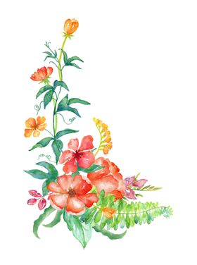 手绘植物