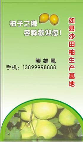水果名片