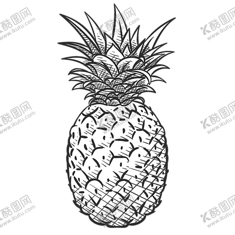 编号：70704510162347534417【酷图网】源文件下载-水果