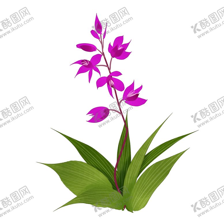 编号：26992504180432589670【酷图网】源文件下载-草本植物药材