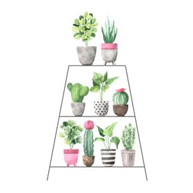 绿色家庭植物