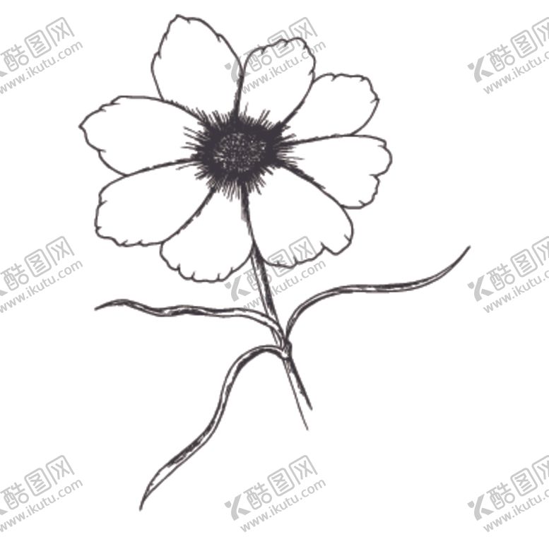 编号：10219607090843582605【酷图网】源文件下载-简笔绘画植物花朵图谱