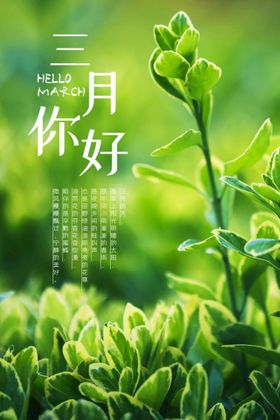 创意你好三月宣传海报