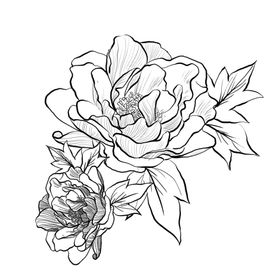 工笔鲜花元素