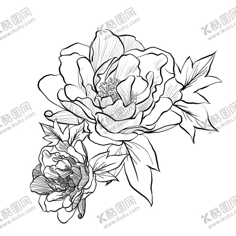 编号：86605605120514353180【酷图网】源文件下载-工笔鲜花元素