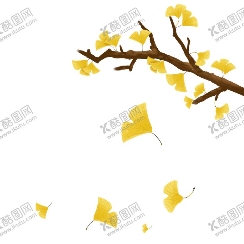编号：20120307081851335988【酷图网】源文件下载-秋天银杏叶