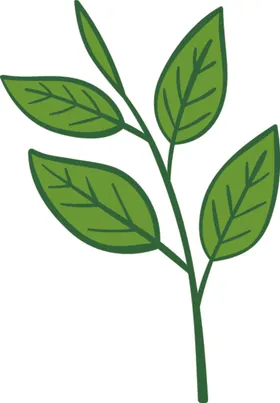 抹茶相关矢量图绿色卡通