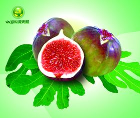 花果无花果海报无花果画面