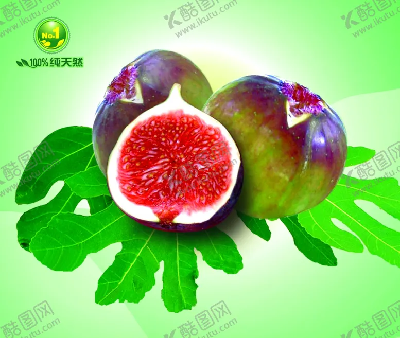 编号：66197806261929148067【酷图网】源文件下载-花果无花果海报无花果画面