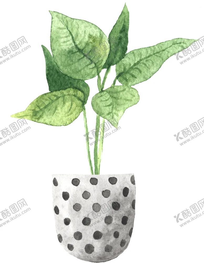 编号：77935007011916055817【酷图网】源文件下载-绿色家庭植物