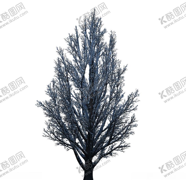 编号：46349309240535296261【酷图网】源文件下载-树木
