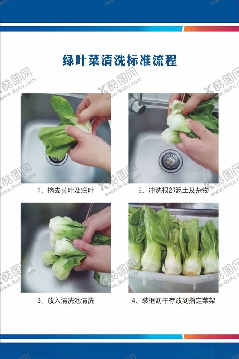 编号：86200712221557168611【酷图网】源文件下载-绿叶菜清洗标准流程