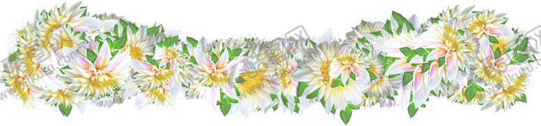 编号：69888010192155528839【酷图网】源文件下载-大丽花