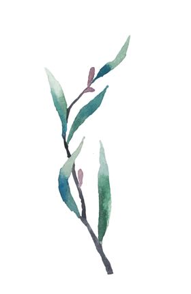 浪漫素材