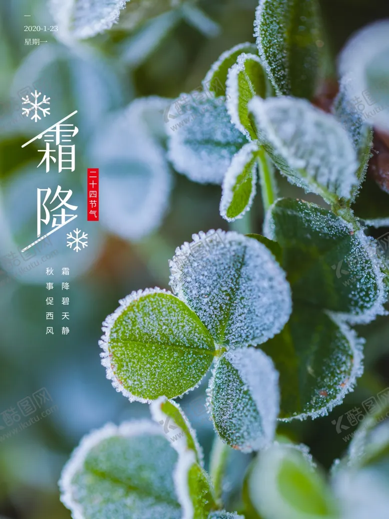 编号：15581306171338044460【酷图网】源文件下载-霜降