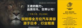 汽车美容广告
