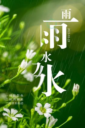 节气雨水微信雨水雨水海报