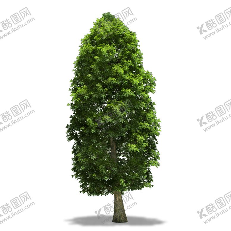 编号：66389506281955482086【酷图网】源文件下载-绿色植物