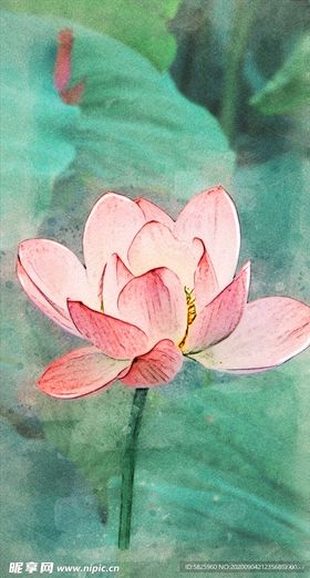 中国风荷花水彩插画PSD分层