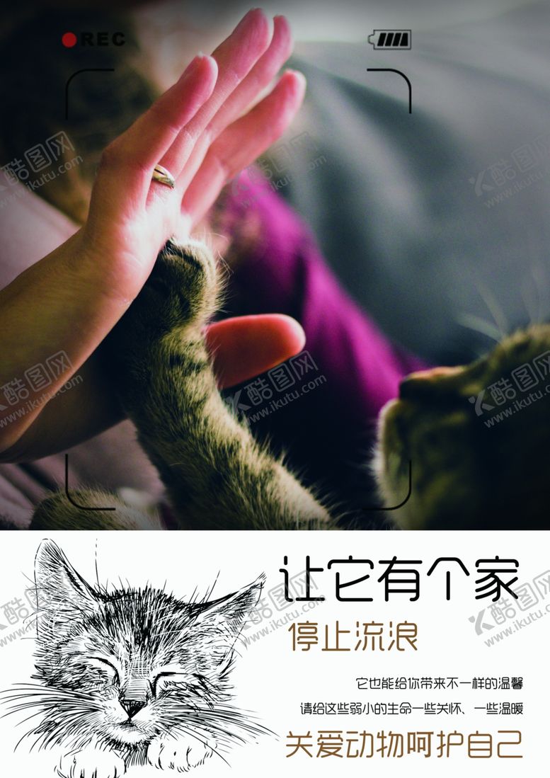 设施流浪动物收留宠物广告可怜动物收养站