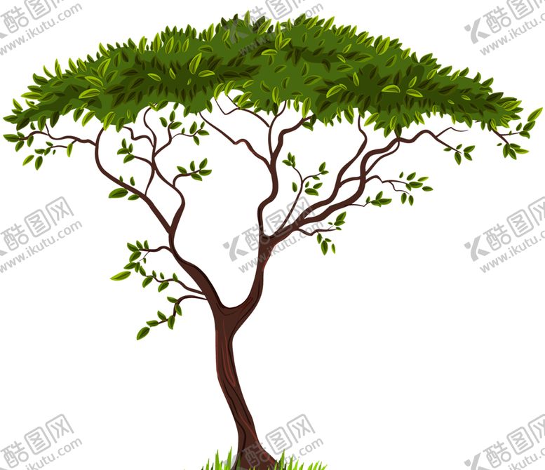 编号：80245909240632234532【酷图网】源文件下载-透明大树png素材