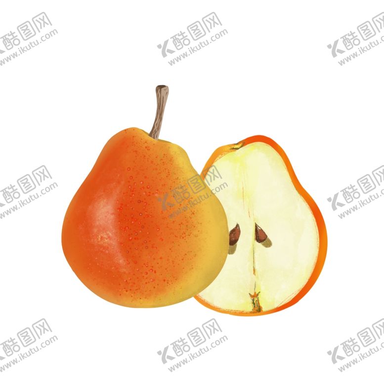 编号：19755109091222252525【酷图网】源文件下载-手绘水果梨