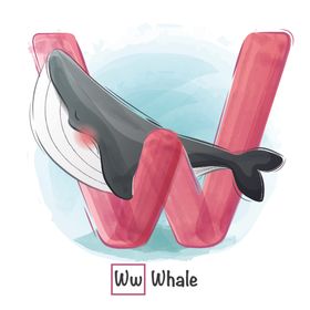 水彩动物和字母