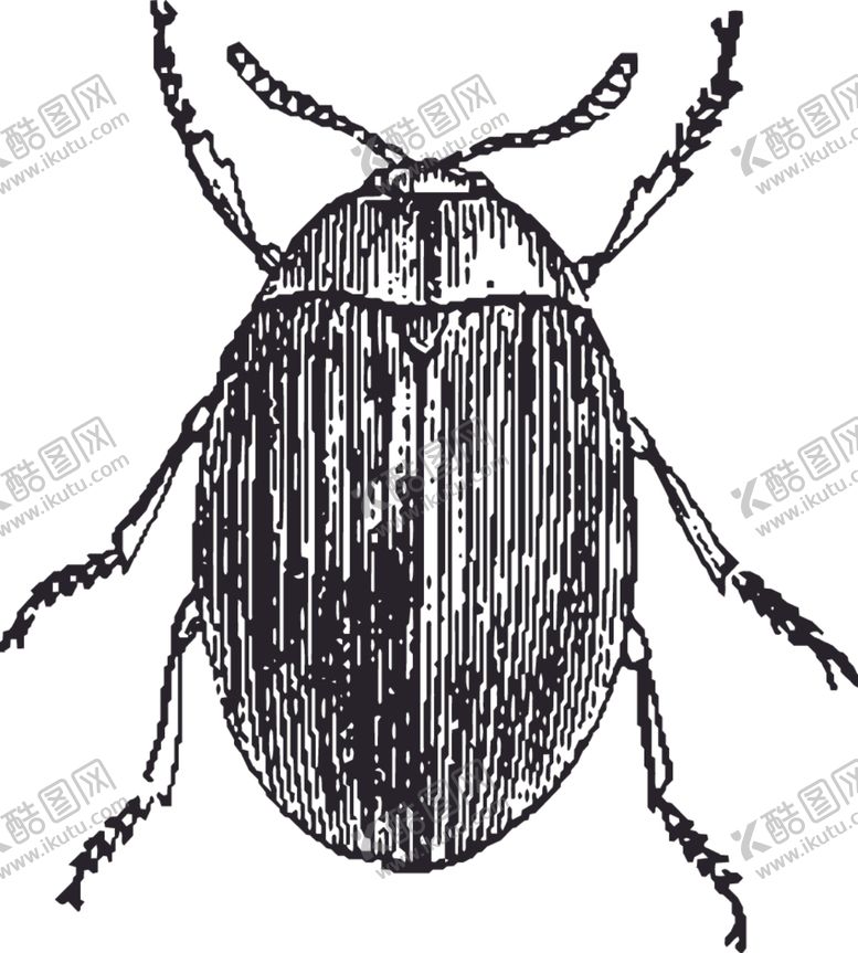 编号：38507810291310051253【酷图网】源文件下载-自然昆虫标本插画