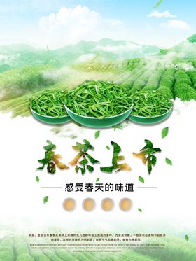 小清新春茶上市宣传海报