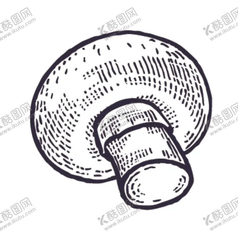 编号：58736606302038344096【酷图网】源文件下载-餐饮食物插画元素