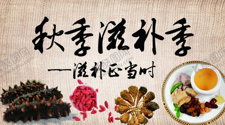 编号：26440702160504183323【酷图网】源文件下载-秋季滋补