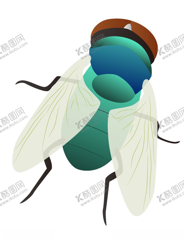 编号：67340807051029585436【酷图网】源文件下载-动物蝉的卡通插画