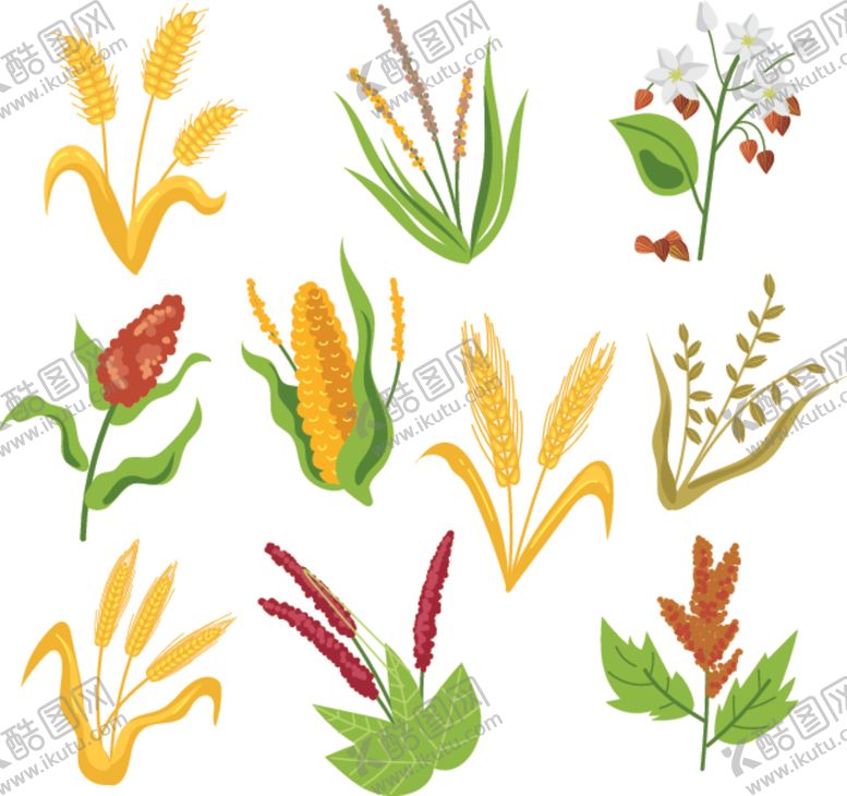 编号：34743503090142547232【酷图网】源文件下载-卡通粮食绿植插画