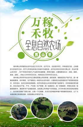黑山羊海报