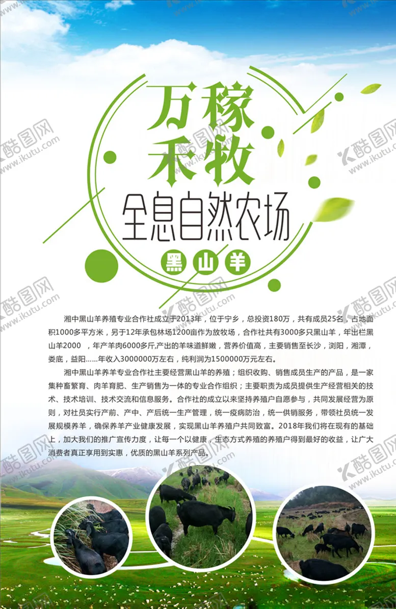 编号：16206206291438402268【酷图网】源文件下载-黑山羊海报