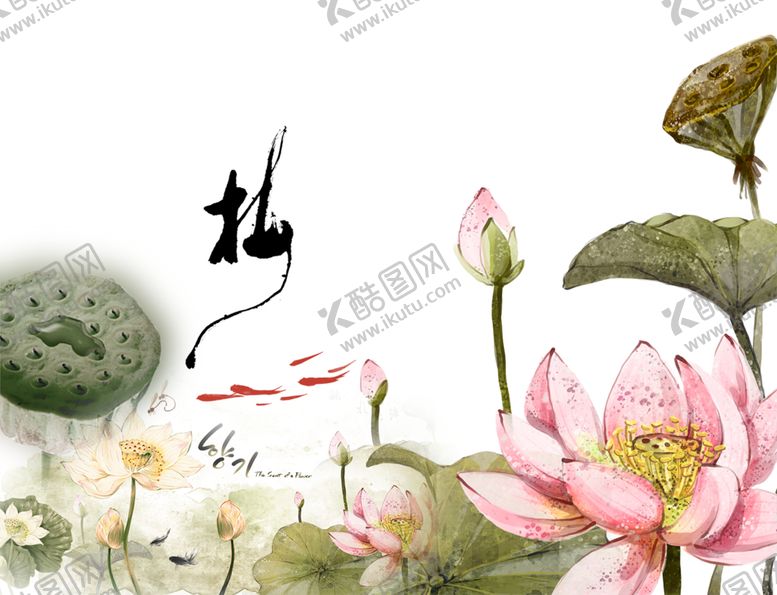 编号：32541310190022105427【酷图网】源文件下载-中国风荷叶荷花绘画