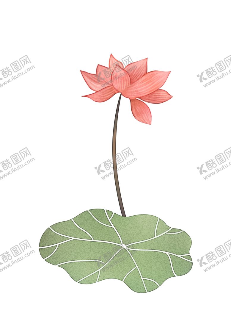 编号：80282509191257276845【酷图网】源文件下载-荷花莲花