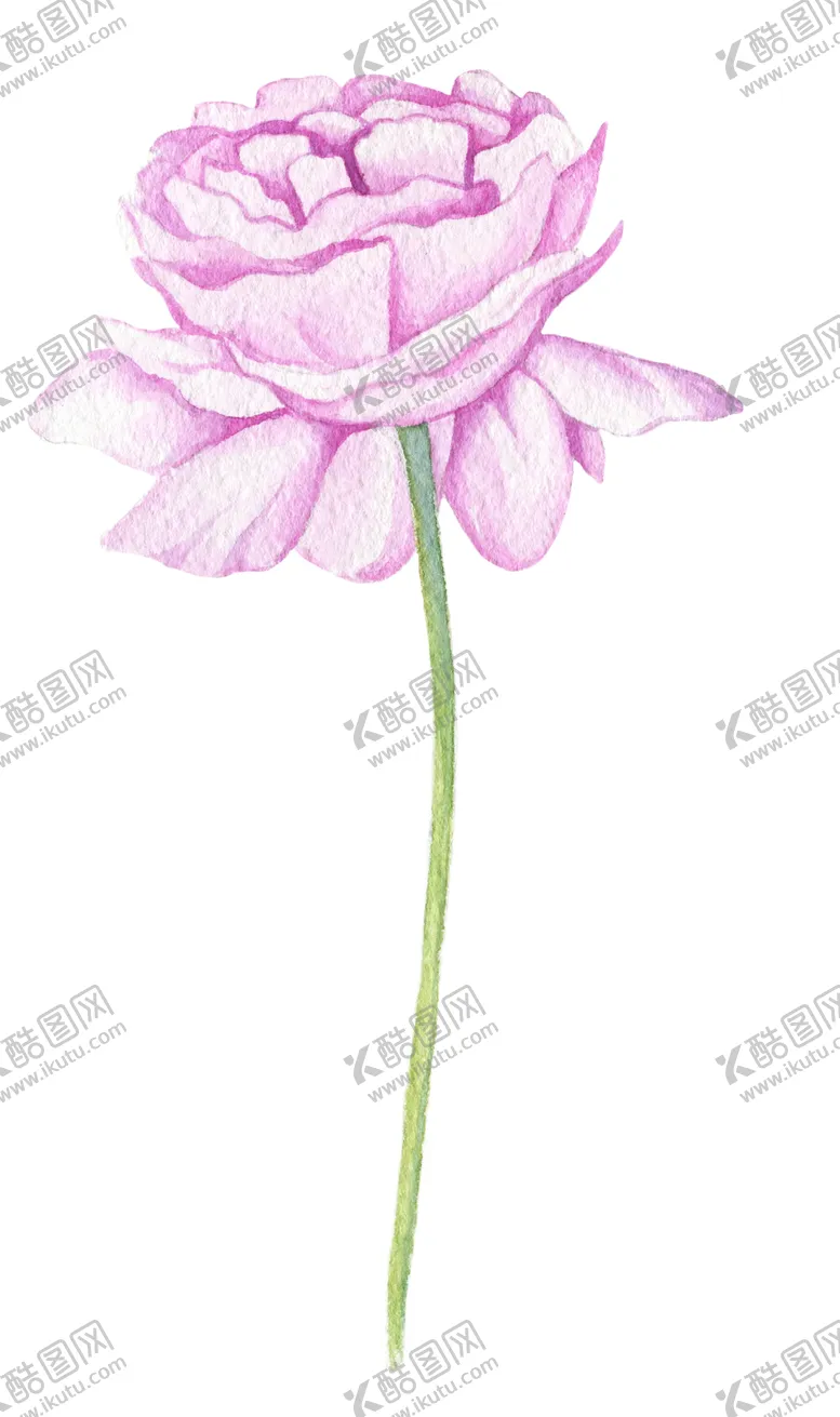 编号：45899006231821205870【酷图网】源文件下载-鲜花素材