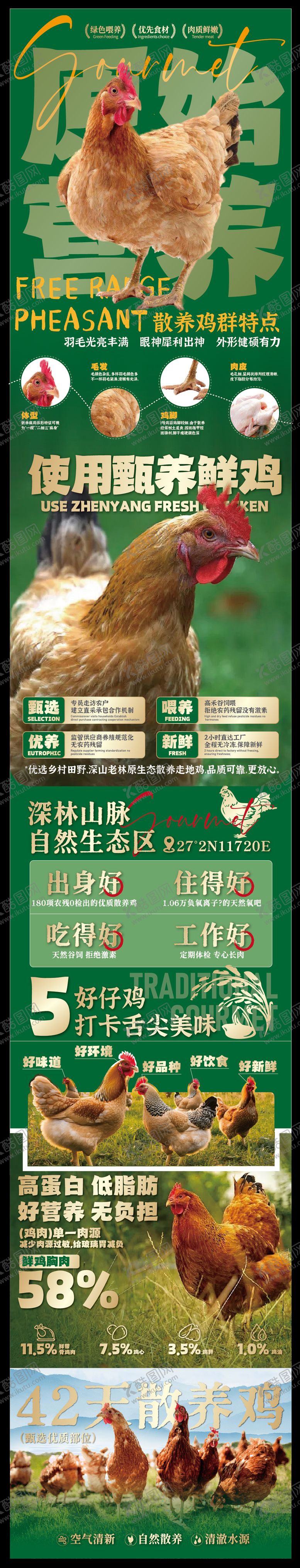 编号：44357910020533303228【酷图网】源文件下载-赣南美食散养土鸡海报