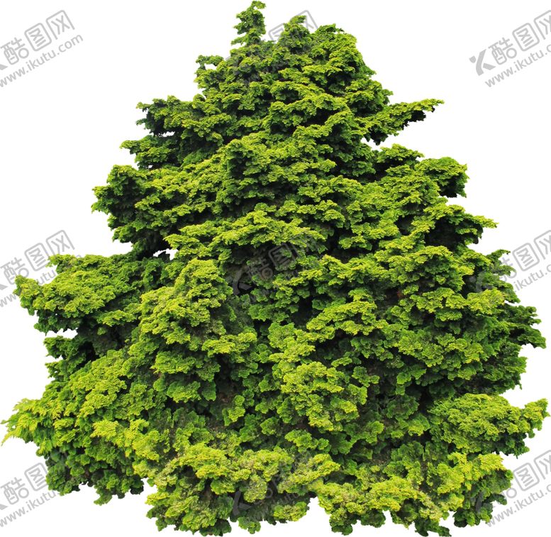 编号：90981010251846476710【酷图网】源文件下载-免扣植物树木素材