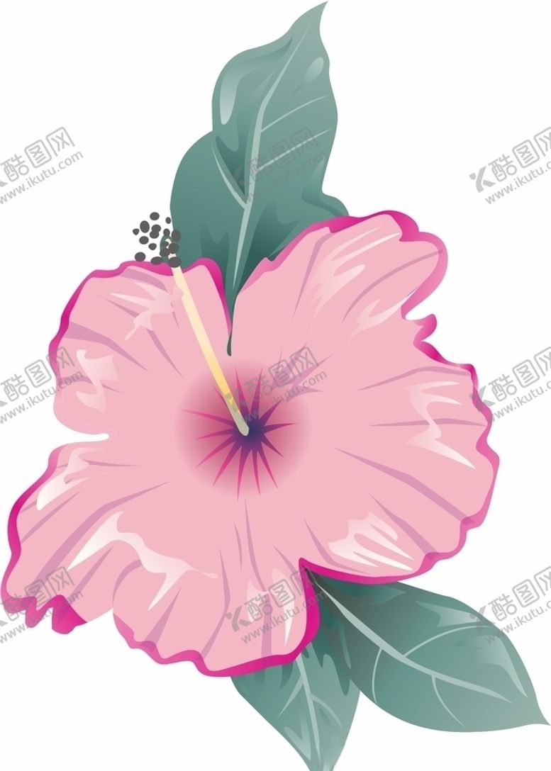 编号：85120405141939549915【酷图网】源文件下载-矢量花朵