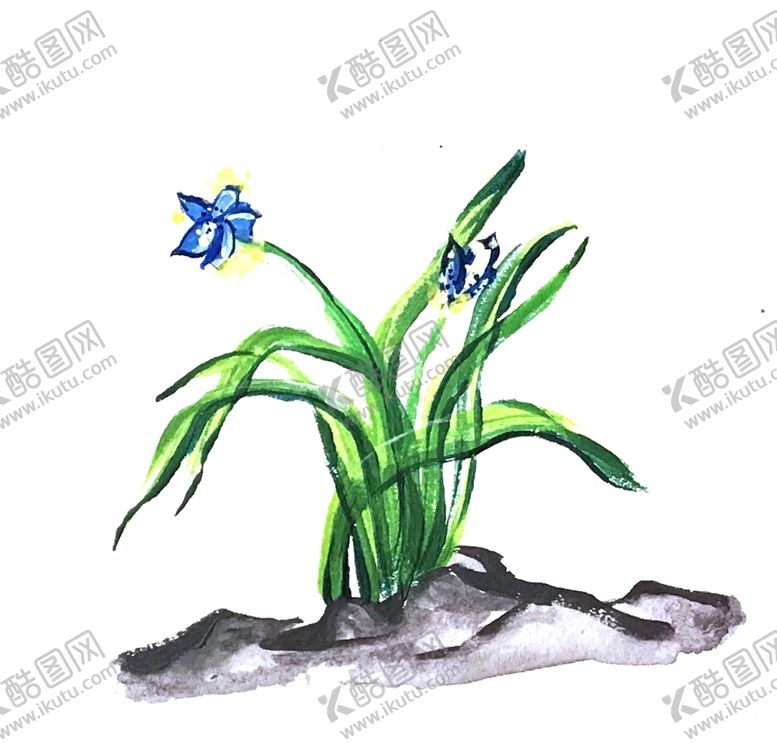 编号：65558209262244179976【酷图网】源文件下载-兰花水粉手绘素材